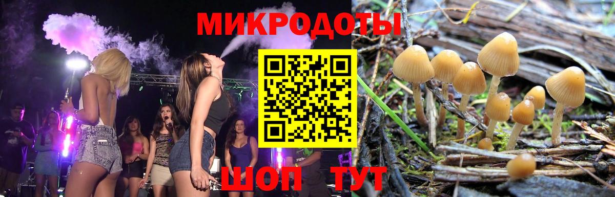 Янаул  Галлюциногенные грибы Psilocybe  Вход с VPN 